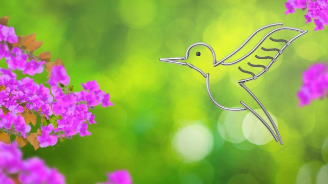 EcoShape Colibri