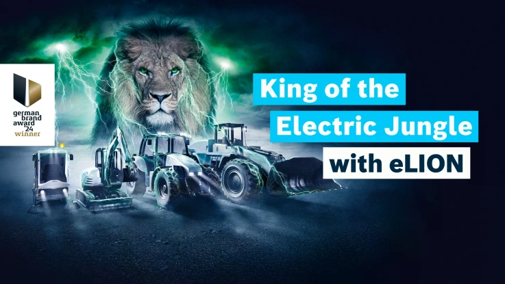 Lion Visual